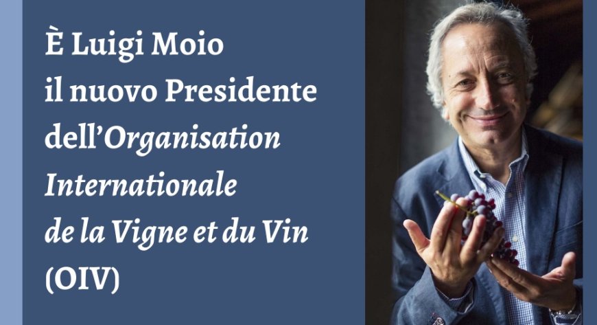 È Luigi Moio il nuovo Presidente dell’Organisation Internationale de la Vigne et du Vin (OIV)