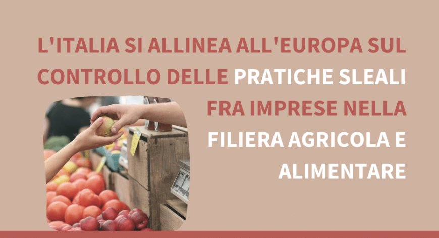 L'Italia si allinea all'Europa sul controllo delle pratiche sleali fra imprese nella filiera agricola e alimentare