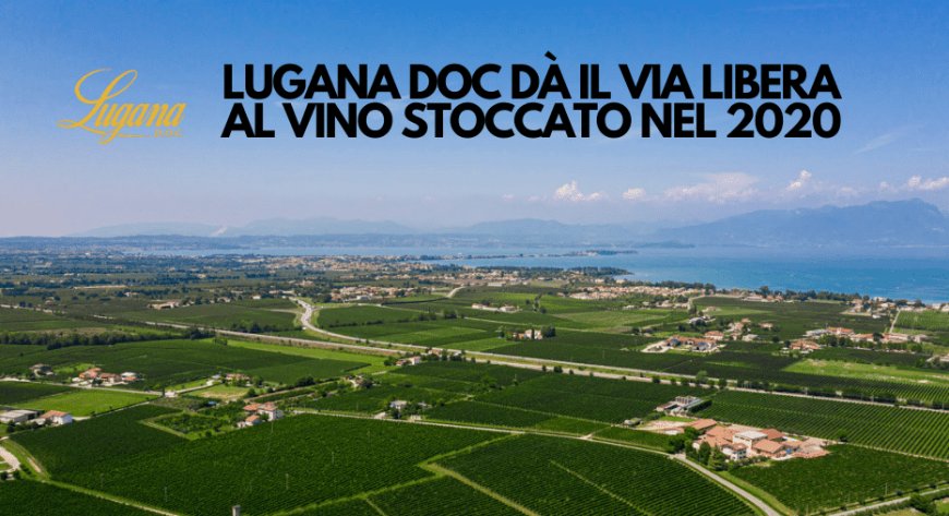 Lugana Doc dà il via libera al vino stoccato nel 2020