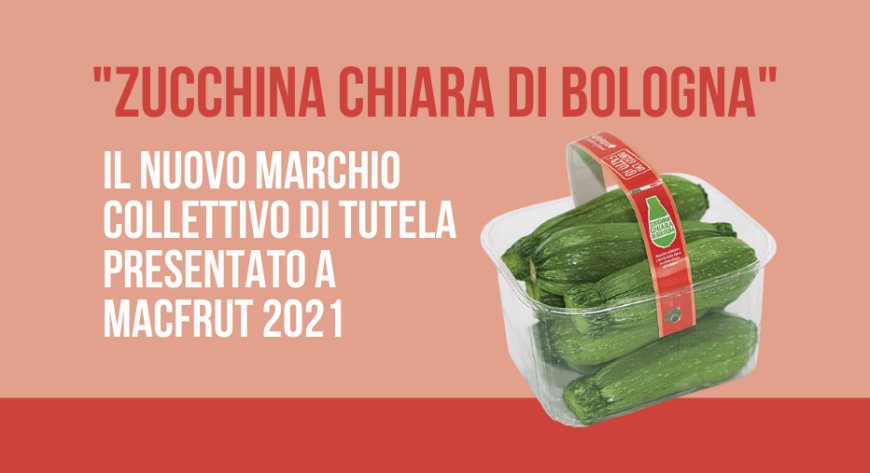 "Zucchina chiara di Bologna". Il nuovo marchio collettivo di tutela presentato a MacFrut 2021