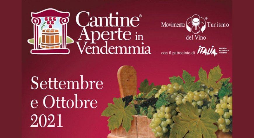Al via Cantine Aperte in Vendemmia, l'evento firmato Movimento Turismo del Vino
