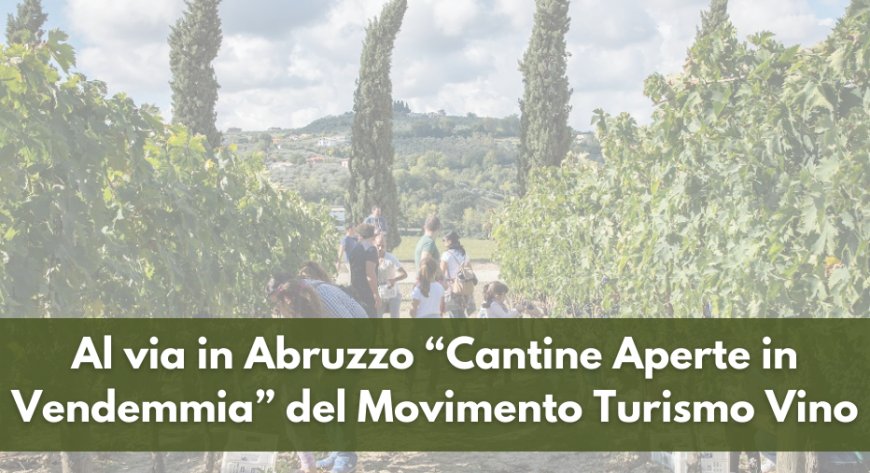 Al via in Abruzzo “Cantine Aperte in Vendemmia” del Movimento Turismo Vino