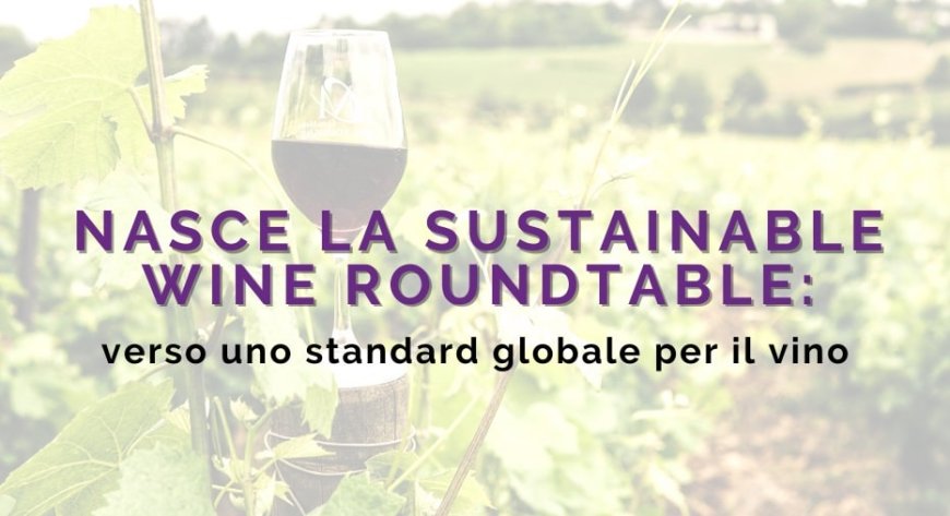 Nasce la Sustainable Wine Roundtable: verso uno standard globale per il vino