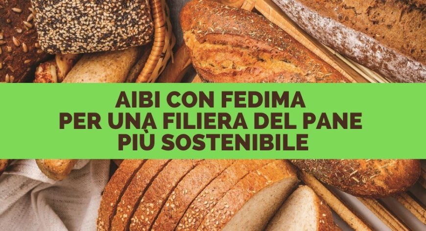 AIBI con Fedima per una filiera del pane più sostenibile