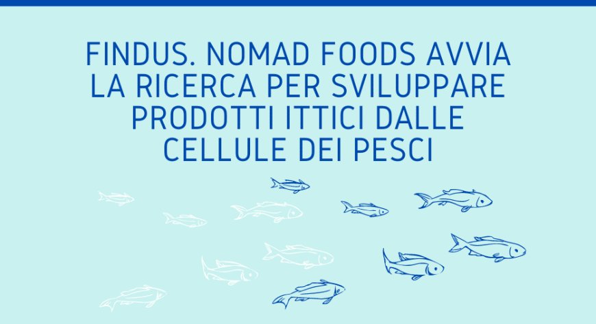 Findus. Nomad Foods avvia la ricerca per sviluppare prodotti ittici dalle cellule dei pesci