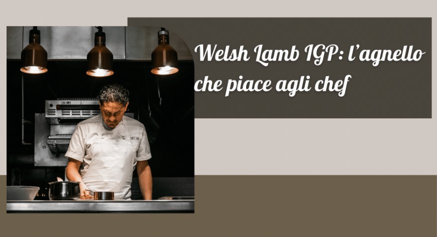 Welsh Lamb IGP: l’agnello che piace agli chef