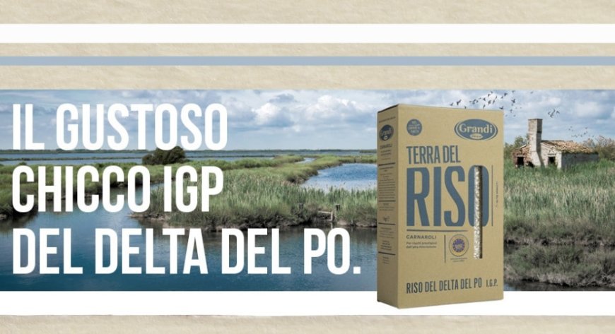 Grandi Riso lancia una campagna digital per promuovere l’IGP Delta del Po
