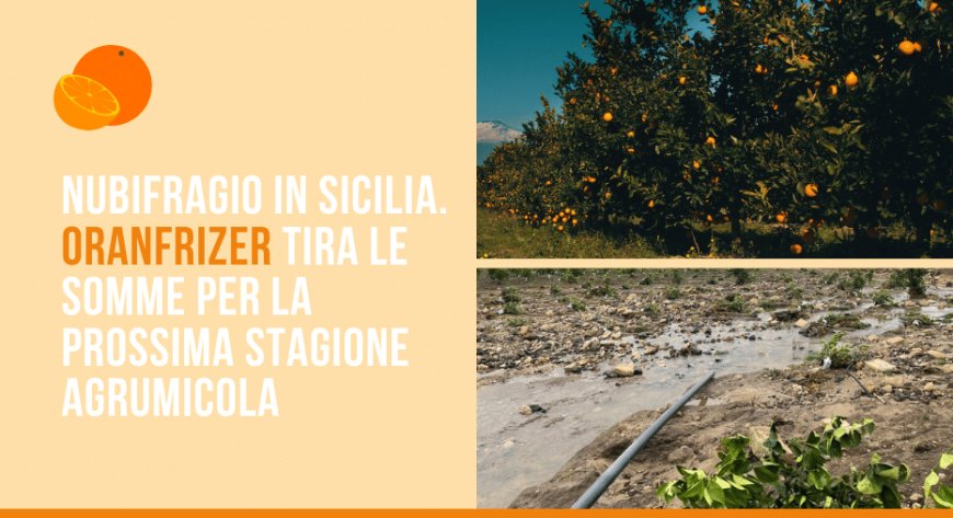 Nubifragio in Sicilia. Oranfrizer tira le somme per la prossima stagione agrumicola