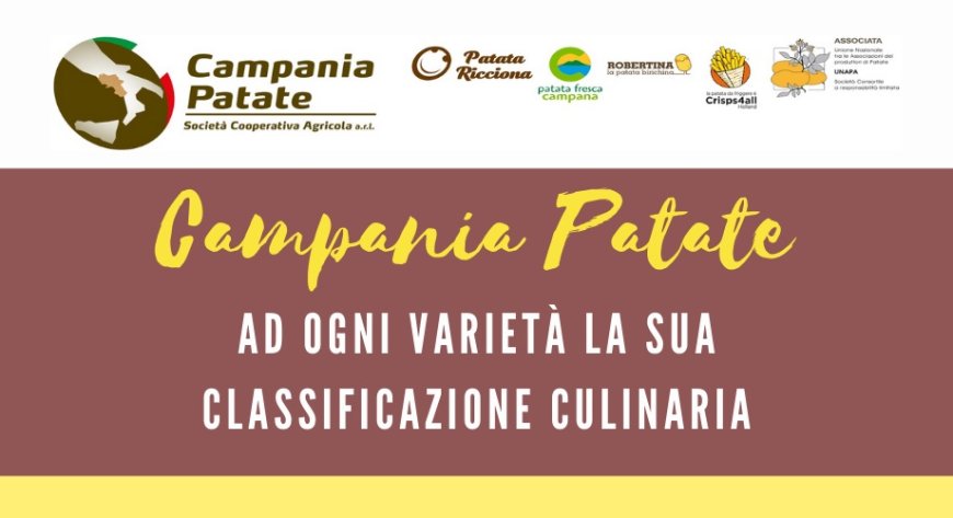 Campania Patate: ad ogni varietà la sua classificazione culinaria