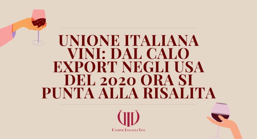 Unione Italiana Vini: dal calo export negli USA del 2020 ora si punta alla risalita