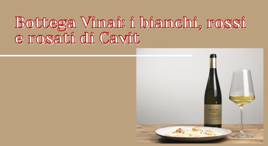 Bottega Vinai: i bianchi, rossi e rosati di Cavit