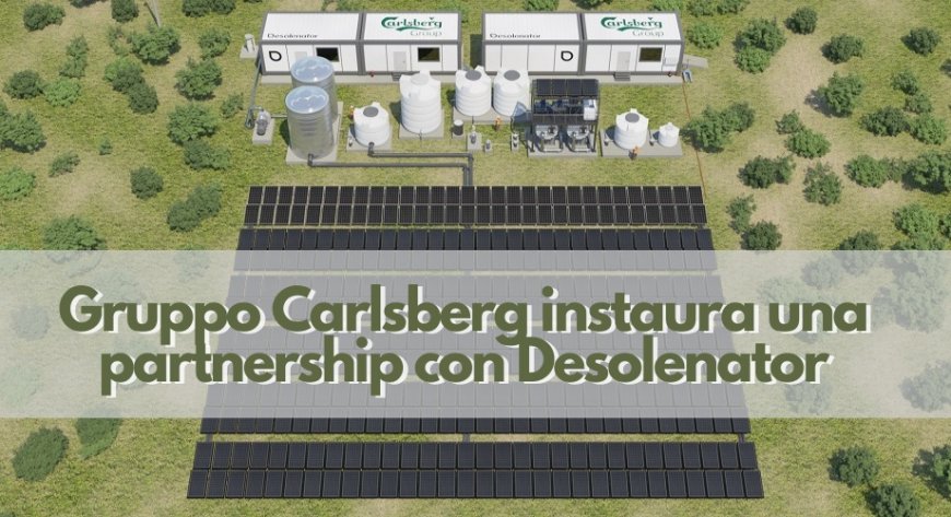 Gruppo Carlsberg instaura una partnership con Desolenator