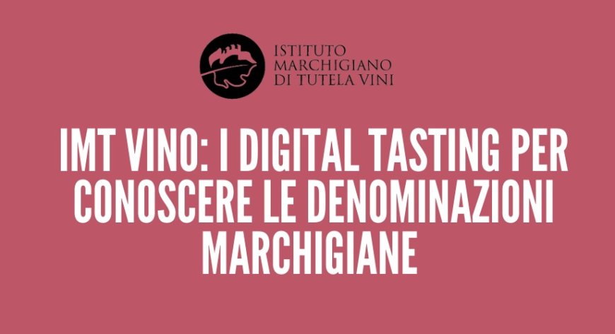 IMT Vino: i digital tasting per conoscere le denominazioni marchigiane