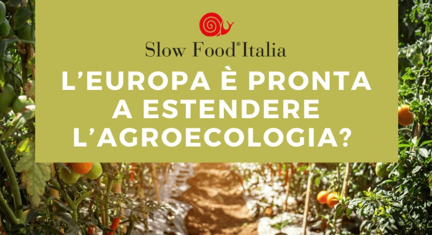 L’Europa è pronta a estendere l’agroecologia?