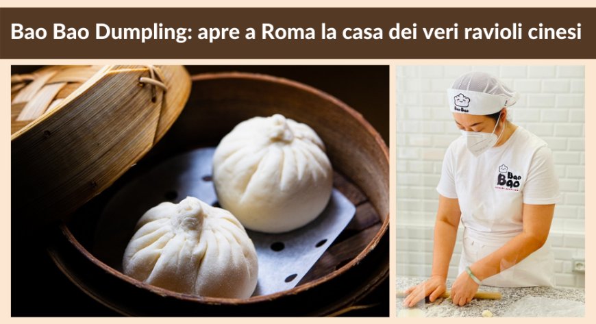 Bao Bao Dumpling: apre a Roma la casa dei veri ravioli cinesi