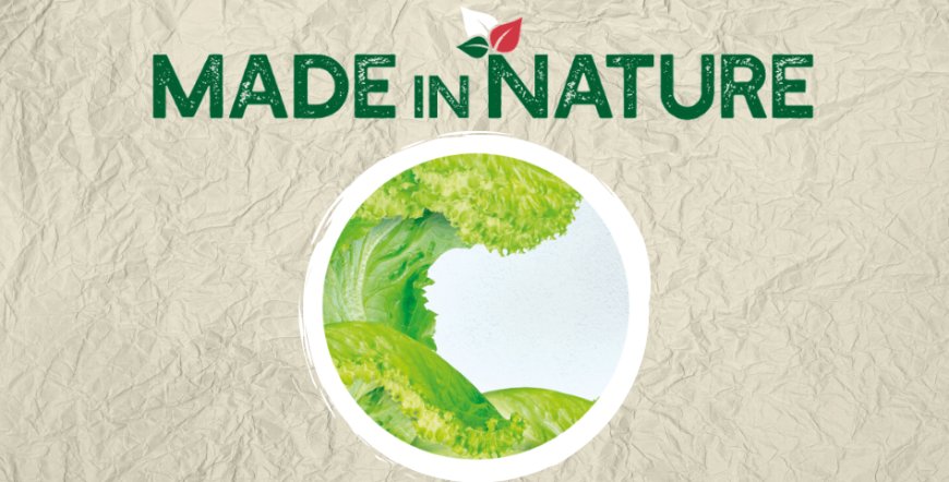 Made in Nature promuove il consumo di frutta e verdura italiane in Europa e punta su comunicazione e qualità