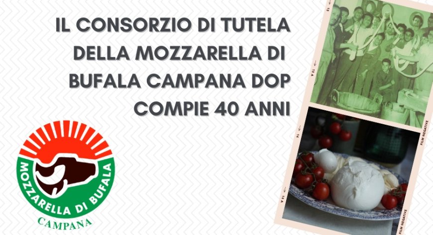 Il Consorzio di Tutela della Mozzarella di Bufala Campana Dop compie 40 anni