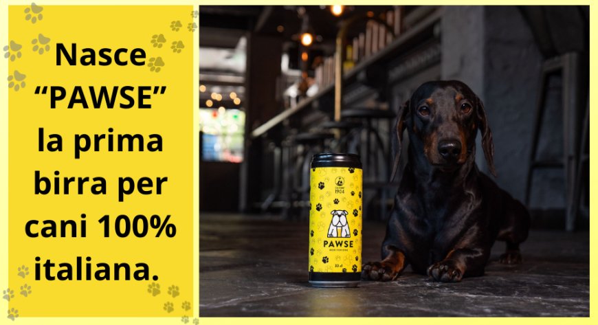 Nasce “Pawse” la prima birra per cani 100% italiana