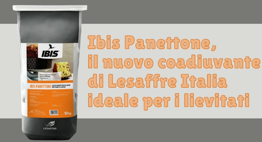 Ibis Panettone, il nuovo coadiuvante di Lesaffre Italia ideale per i lievitati