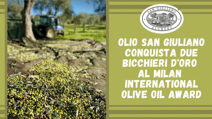 Olio San Giuliano conquista due bicchieri d'oro al Milan International Olive Oil Award