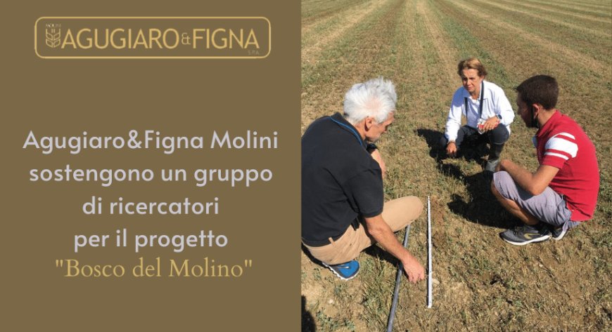 Agugiaro & Figna Molini sostengono un gruppo di ricercatori per il progetto "Bosco del Molino"