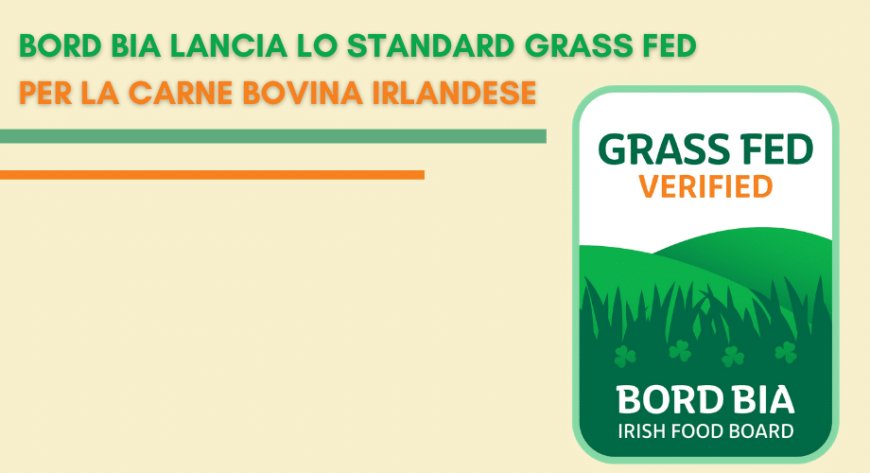 Bord Bia lancia lo Standard Grass Fed per la carne bovina irlandese