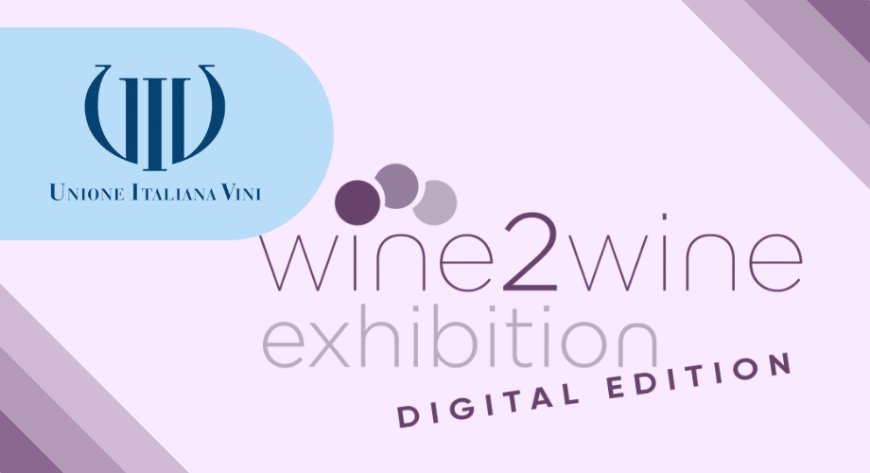 A wine2wine quattro appuntamenti con Unione Italiana Vini