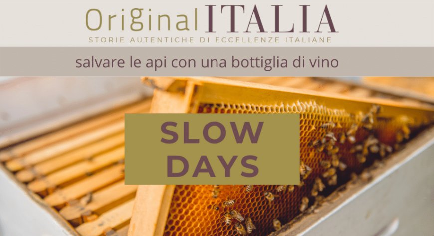 OriginalItalia: salvare le api con una bottiglia di vino