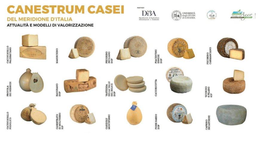 Lo studio e il rilancio di 15 formaggi storici del Sud Italia