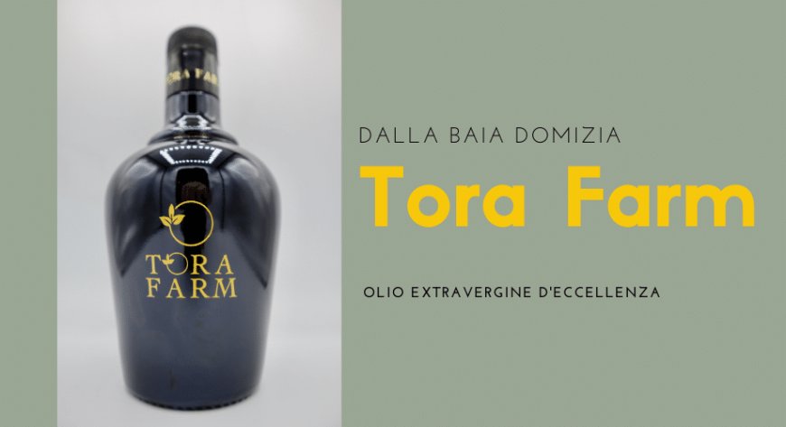 Dalla Baia Domizia Tora Farm, olio extravergine d'eccellenza