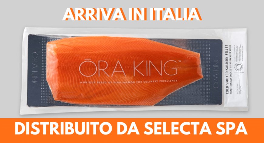 Ōra King arriva in Italia. Il salmone neozelandese è fra i più pregiati al mondo