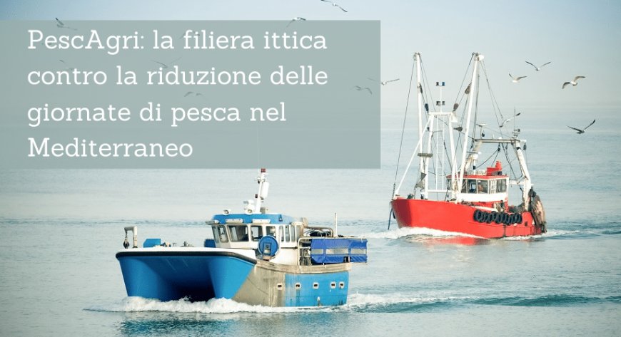 PescAgri: la filiera ittica contro la riduzione delle giornate di pesca nel Mediterraneo