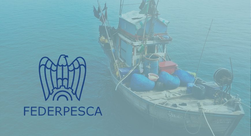 Federpesca: il settore pesca italiano da valorizzare con un ministero dedicato