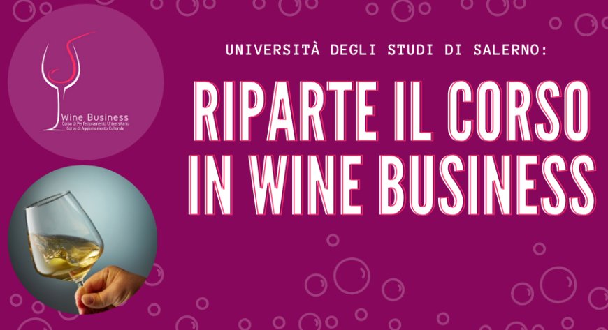 Università degli Studi di Salerno: riparte il corso in Wine Business