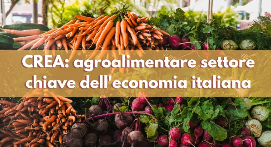 CREA: agroalimentare settore chiave dell'economia italiana
