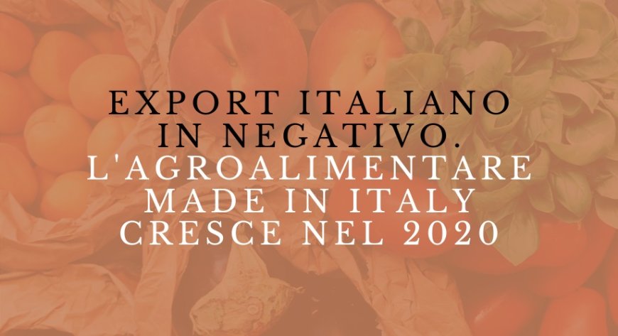 Export italiano in negativo. L'Agroalimentare Made in Italy cresce nel 2020