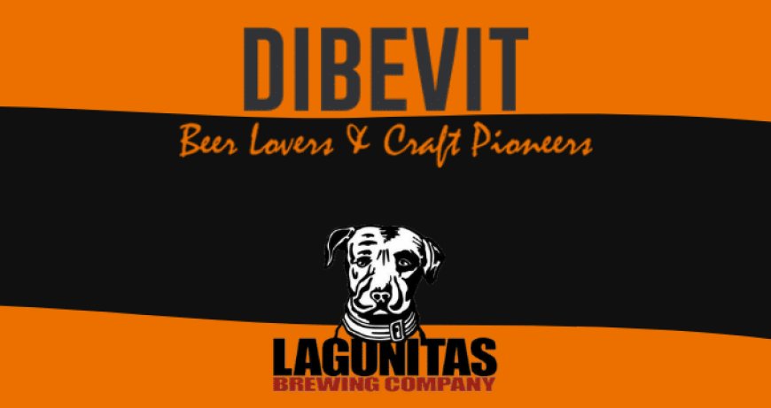 Lagunitas IPA, 12th of Never e DayTime: le bionde speciali di Dibevit Import