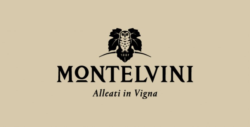 Alleati per la Ripartenza, il progetto di Montelvini a sostegno del canale Horeca
