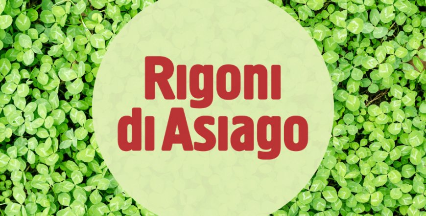Giornata mondiale dell'ambiente: Rigoni di Asiago rinnova il suo impegno per la salvaguardia del pianeta
