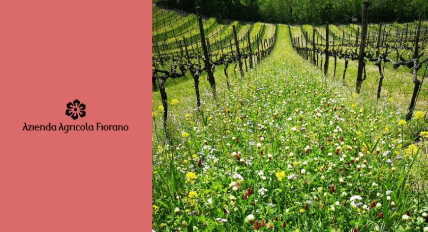 Doppio riconoscimento per i vini di Fiorano all’Internationaler Bioweinpreis