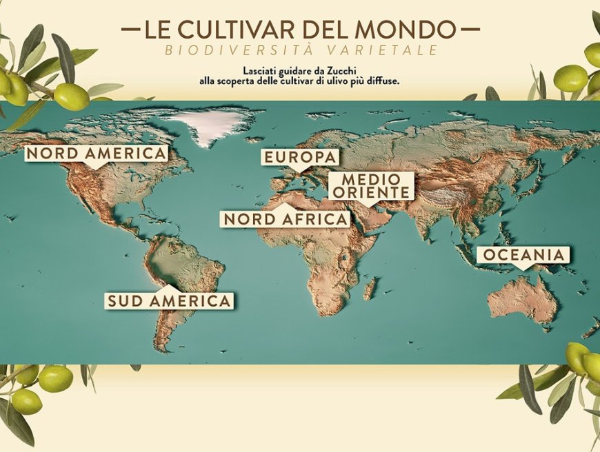 Oleificio Zucchi: una nuova sezione del sito racconta le cultivar di ulivo