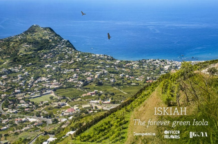 ISKIAN&#x2122; NEGRONI ICE POP: il ghiacciolo alcolico che presenta il progetto turistico internazionale per Ischia