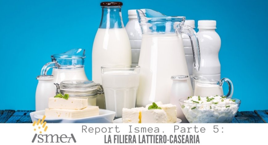 Report Ismea. Parte 5. La filiera lattiero-casearia