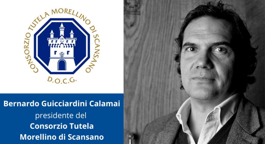 Consorzio Morellino di Scansano: Bernardo Guicciardini Calamai è il nuovo Presidente