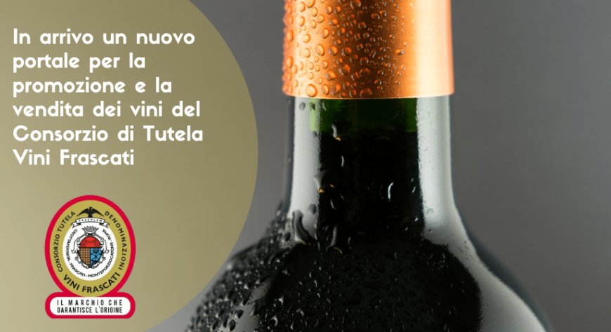 In arrivo un nuovo portale per la promozione e la vendita dei vini del Consorzio di Tutela Vini Frascati