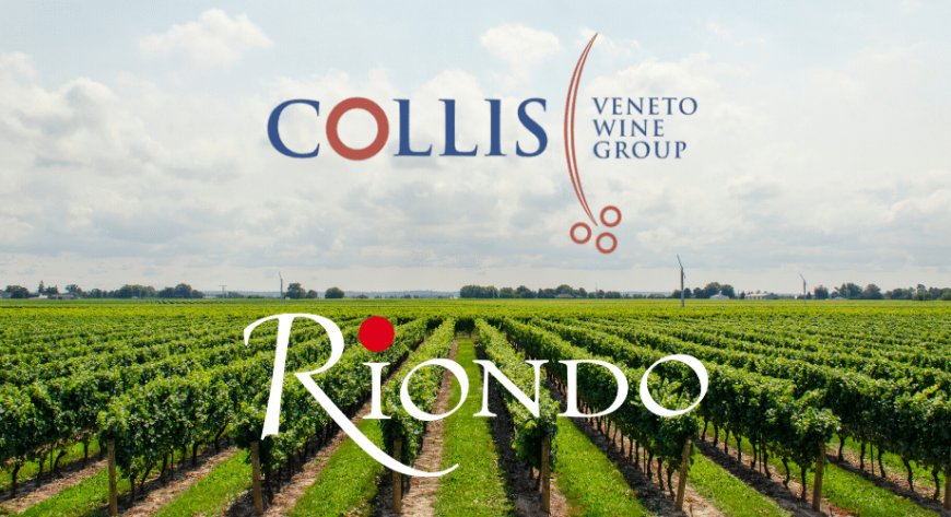 Collis Veneto Wine Group e Cantine Riondo: Manuela Popolizio di Network PR curerà le media relations