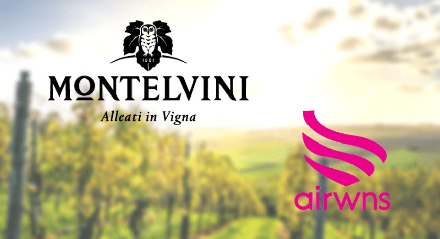 Montelvini e Air Wines: l'aperitivo all'italiana è solidale e si fa a casa