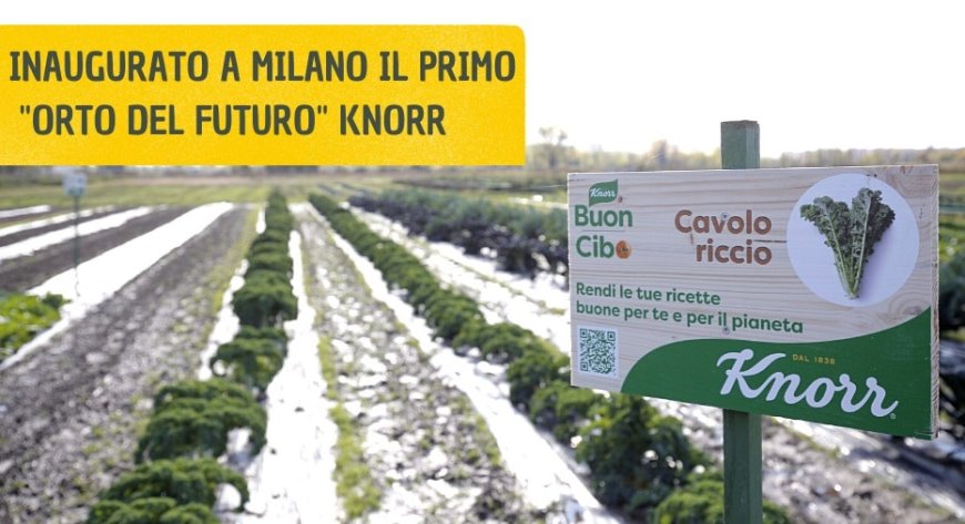 Inaugurato a Milano il primo "Orto del Futuro" Knorr