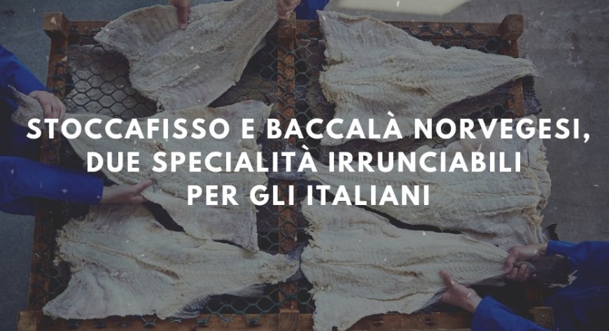 Stoccafisso e baccalà norvegesi, due specialità irrunciabili per gli italiani