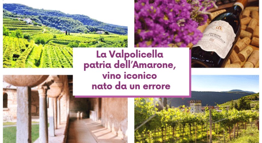 La Valpolicella patria dell’Amarone, vino iconico nato da un errore